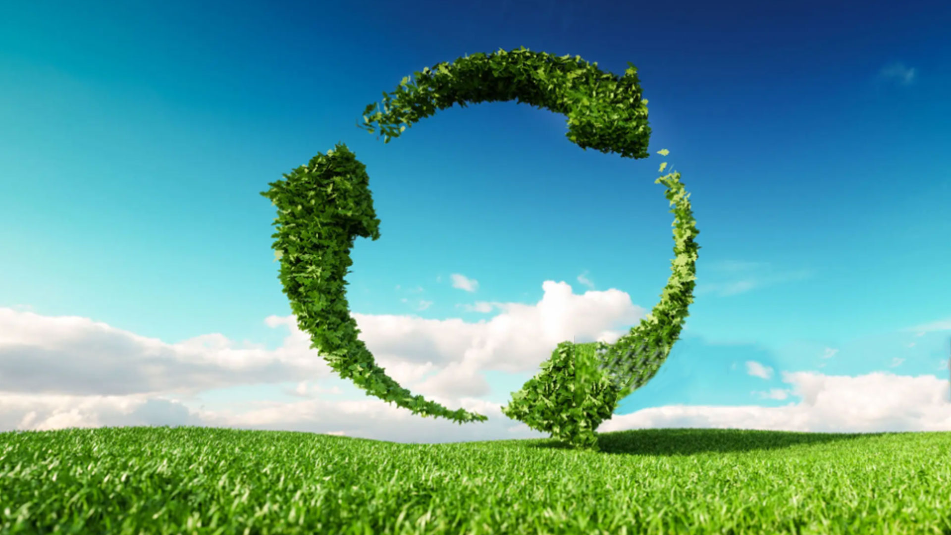 Pyrolysis Waste to Energy 3 New Energy