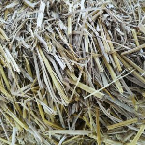 Biomass Pyrolysis 7 20