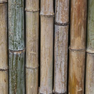 Biomass Pyrolysis 4 Bamboo