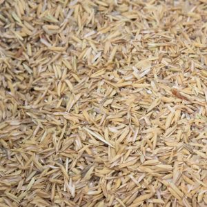 Biomass Pyrolysis 5 28 2