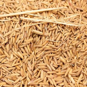 Biomass Carbonization Plant 3 Rice Husk
