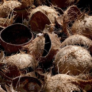 Biomass Carbonization Plant 4 Coconut Shell
