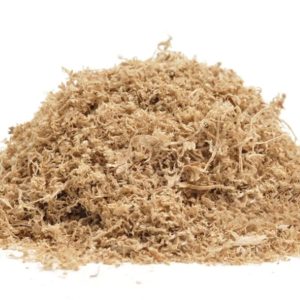 Biomass Pyrolysis 6 46