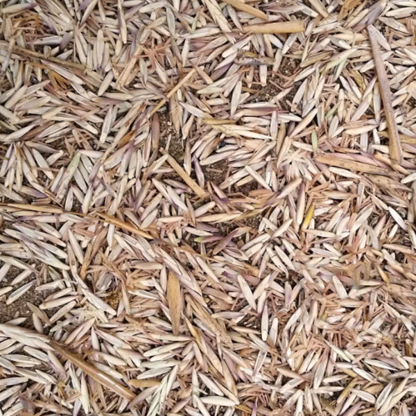 Rice Husk Charcoal Machine for Sale 3 Rice Husk