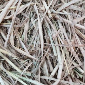 Straw