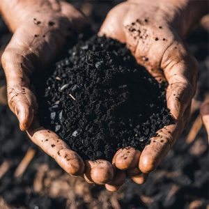 Biochar