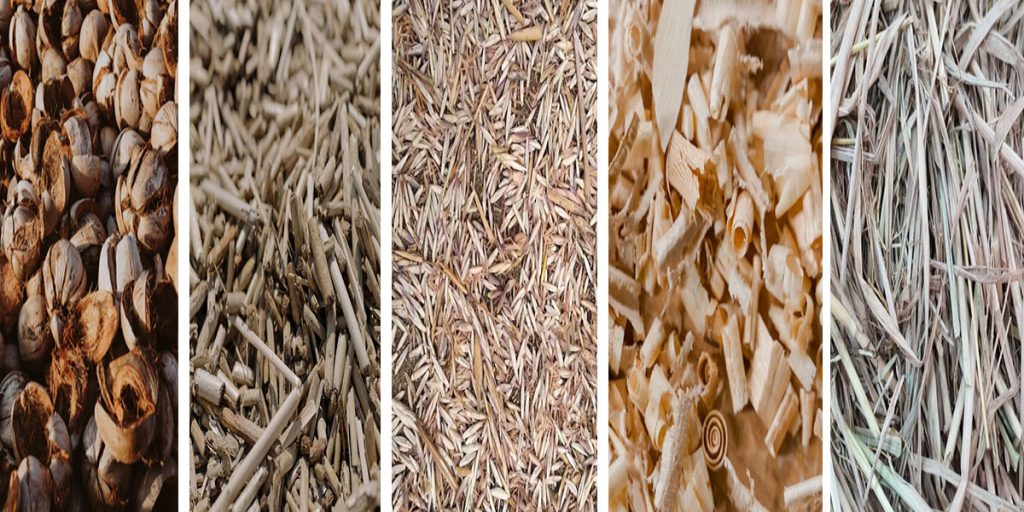 Biomass to Biochar Project Economic Benefit Analysis 5 Biomass raw materials