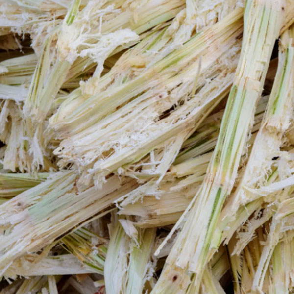 How Biochar Production Machine Converts Bagasse into Charcoal 1 Bagasse Pyrolysis