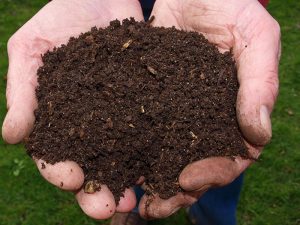 How to Make Cow Dung Charcoal Efficiently 4 Animal Manure Biochar