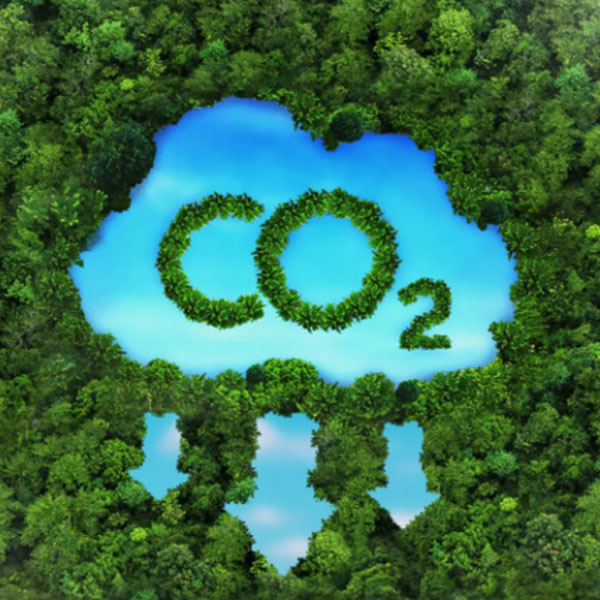 Biochar for CDR