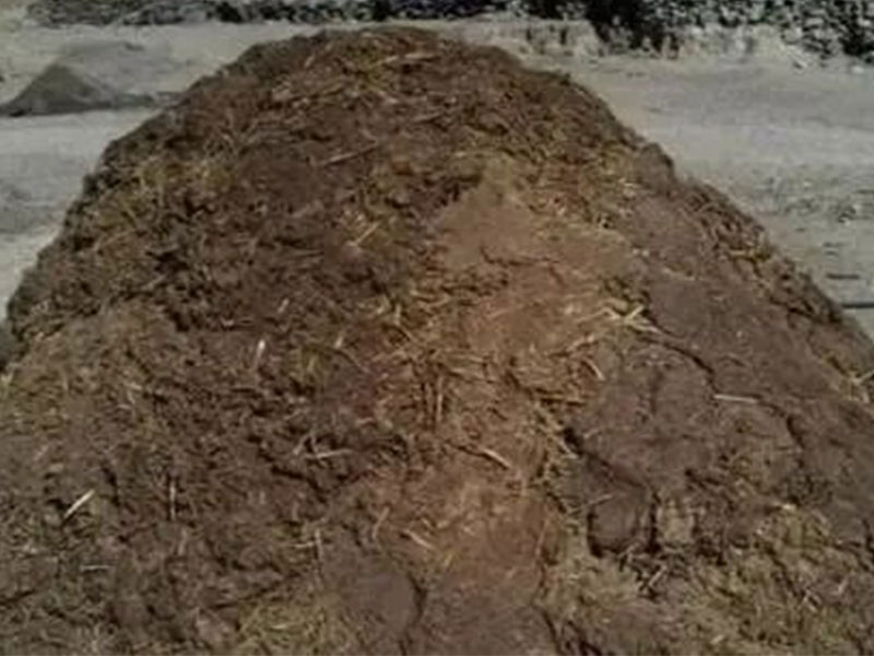 How to Make Cow Dung Charcoal Efficiently 1 Cow Dung