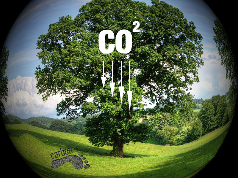 Carbon Credit