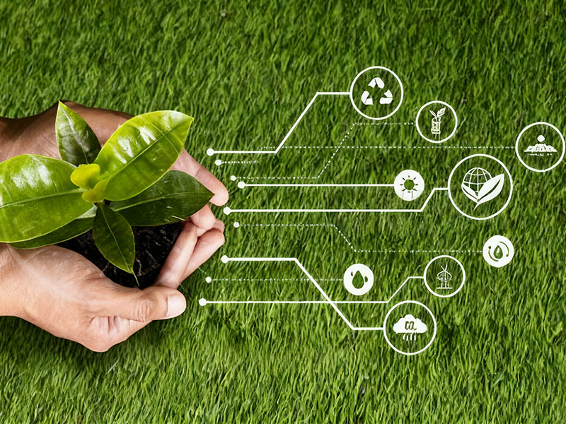 Carbon Emission Reduction