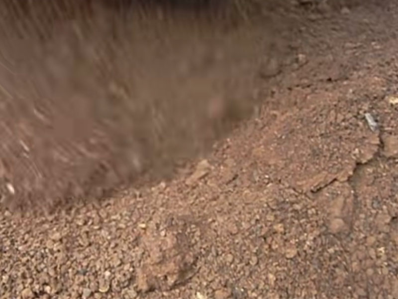 Coffee Grounds
