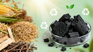 Biochar from Biomass and Waste