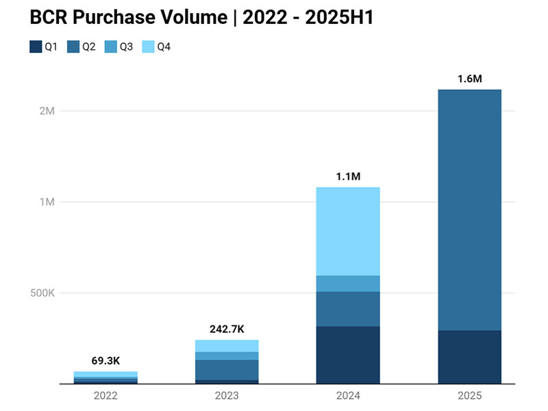 Biochar Carbon Removal Purchase