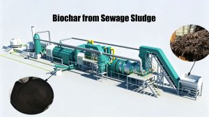 Biochar from Sewage Sludge