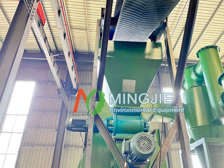 Biomass Feeding System