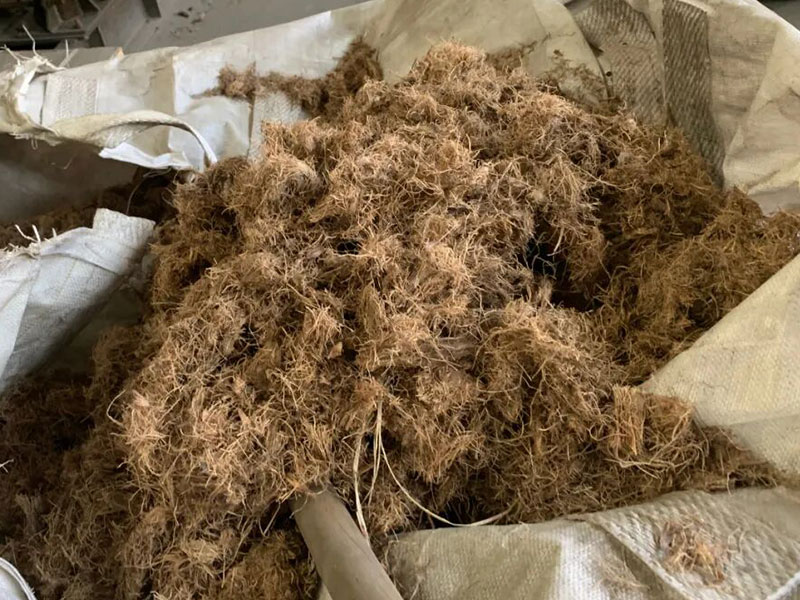 Palm Fiber Waste