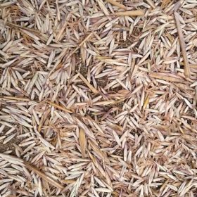 Small Biomass Pyrolysis Machine 4 Rice Husk