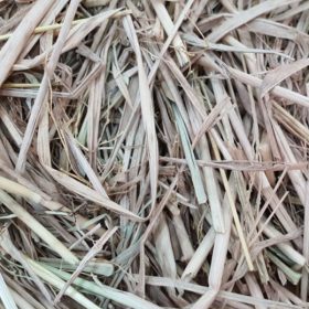 Small Biomass Pyrolysis Machine 2 Straw