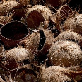 Small Biomass Pyrolysis Machine 5 Coconut Shell